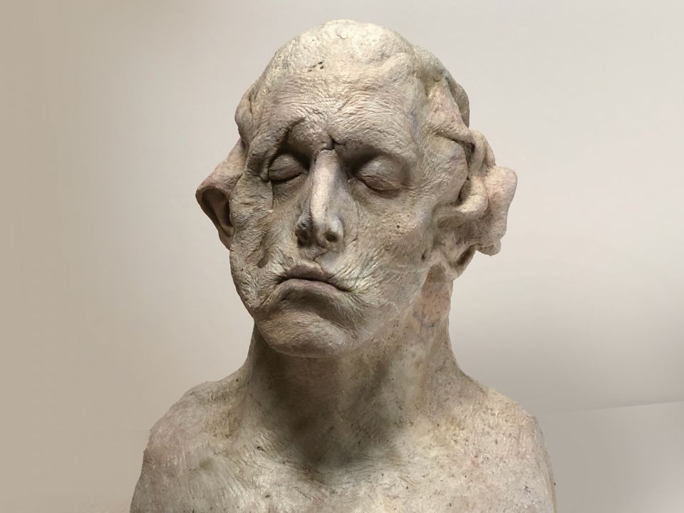 Painted Janus